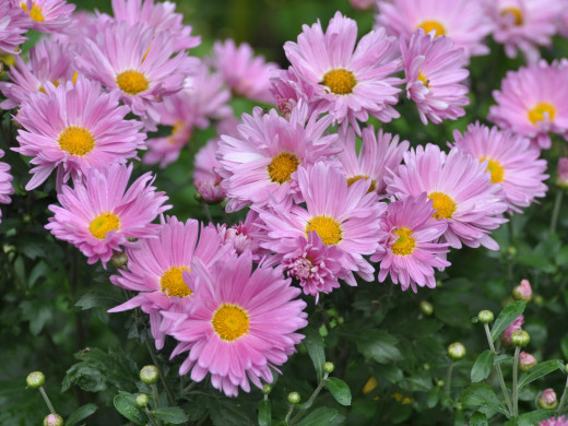 429354 (a): :1600x1200